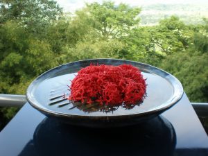 zen bowl with red flowers, thailand, amyra mah