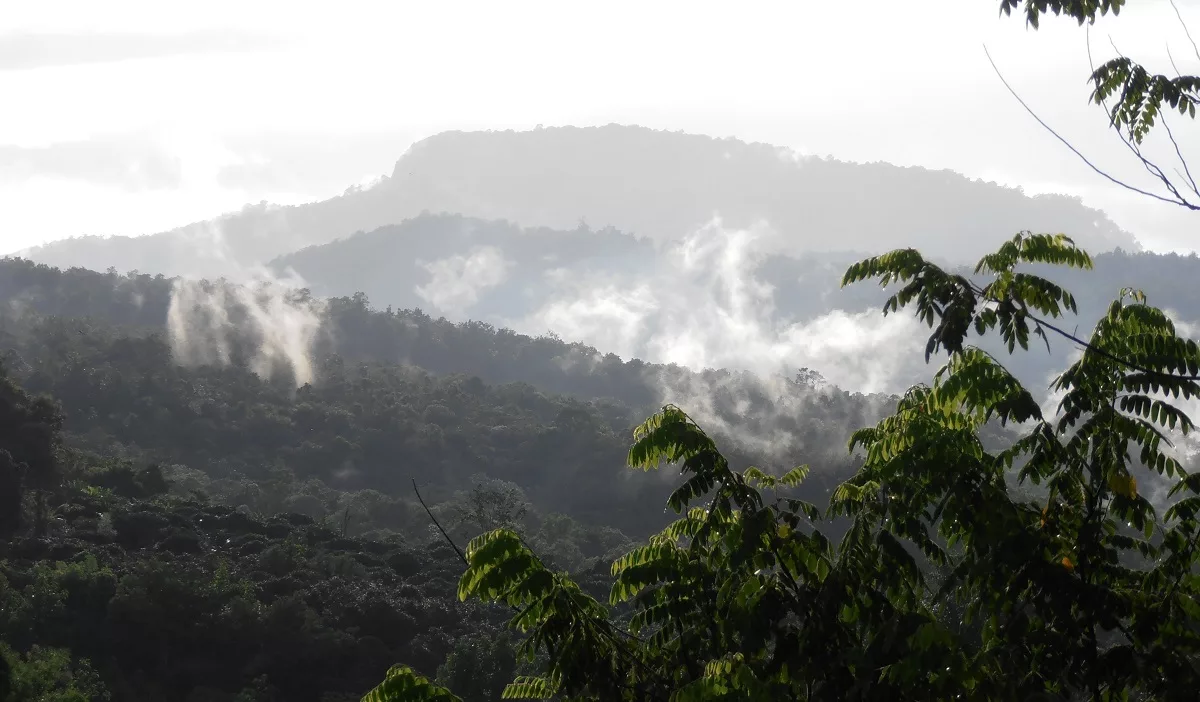 Misty Mountains in Mae Rim, Chiang Mai, Thailand - law of attraction is so yesterday by amyra mah
