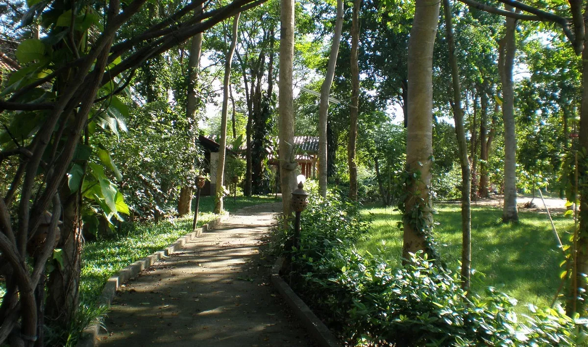 Lush surroundings in the grounds of a rehab in Thailand. Lessons About Moving Forward With Change by Amyra Mah