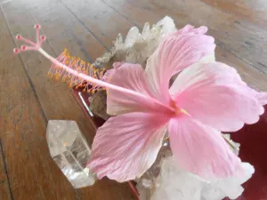 Discover the Key to Manifesting Abundance with Amyra Mah