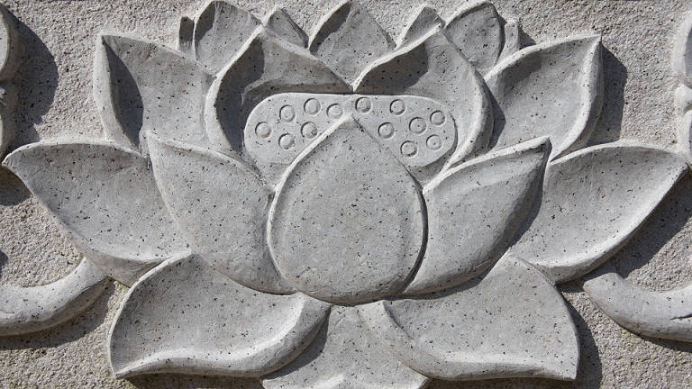 lotus to symbol the divine feminine amyra mah
