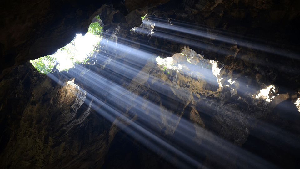 emerging into higher light by amyra mah