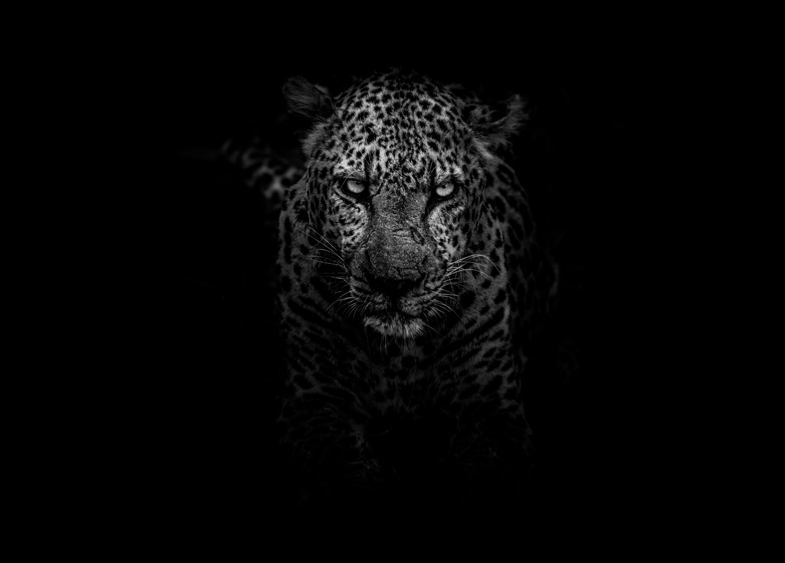 peering through the filter of darkness and anxiety by amyra mah