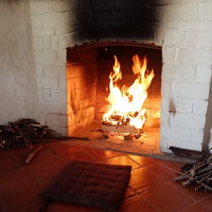 roaring fire in a fireplace, amyra mah