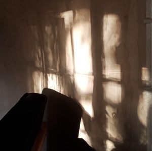 shadows on wall in amyra mah's house