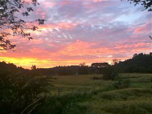 sunset in chiang dao by amyra mah