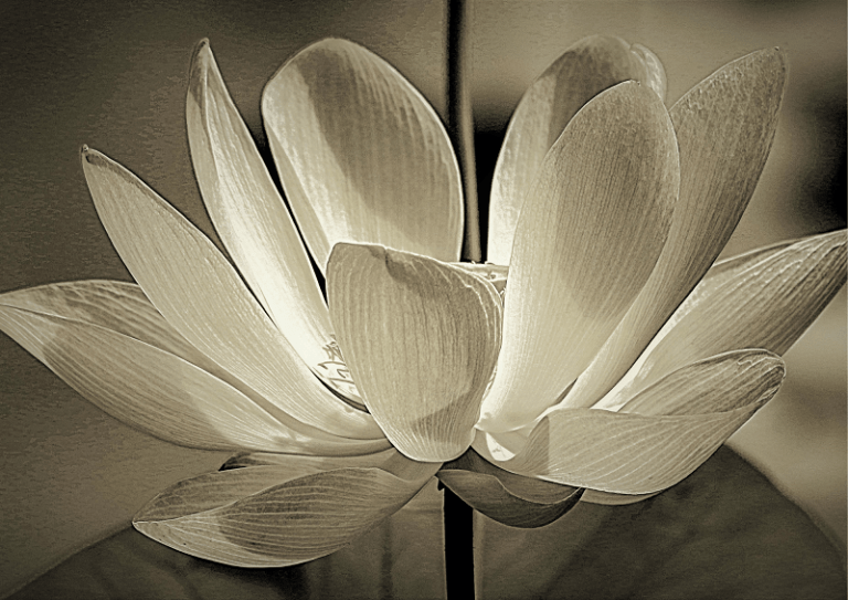 ecstatic practice, connecting with ecstatic realm by amyra mah