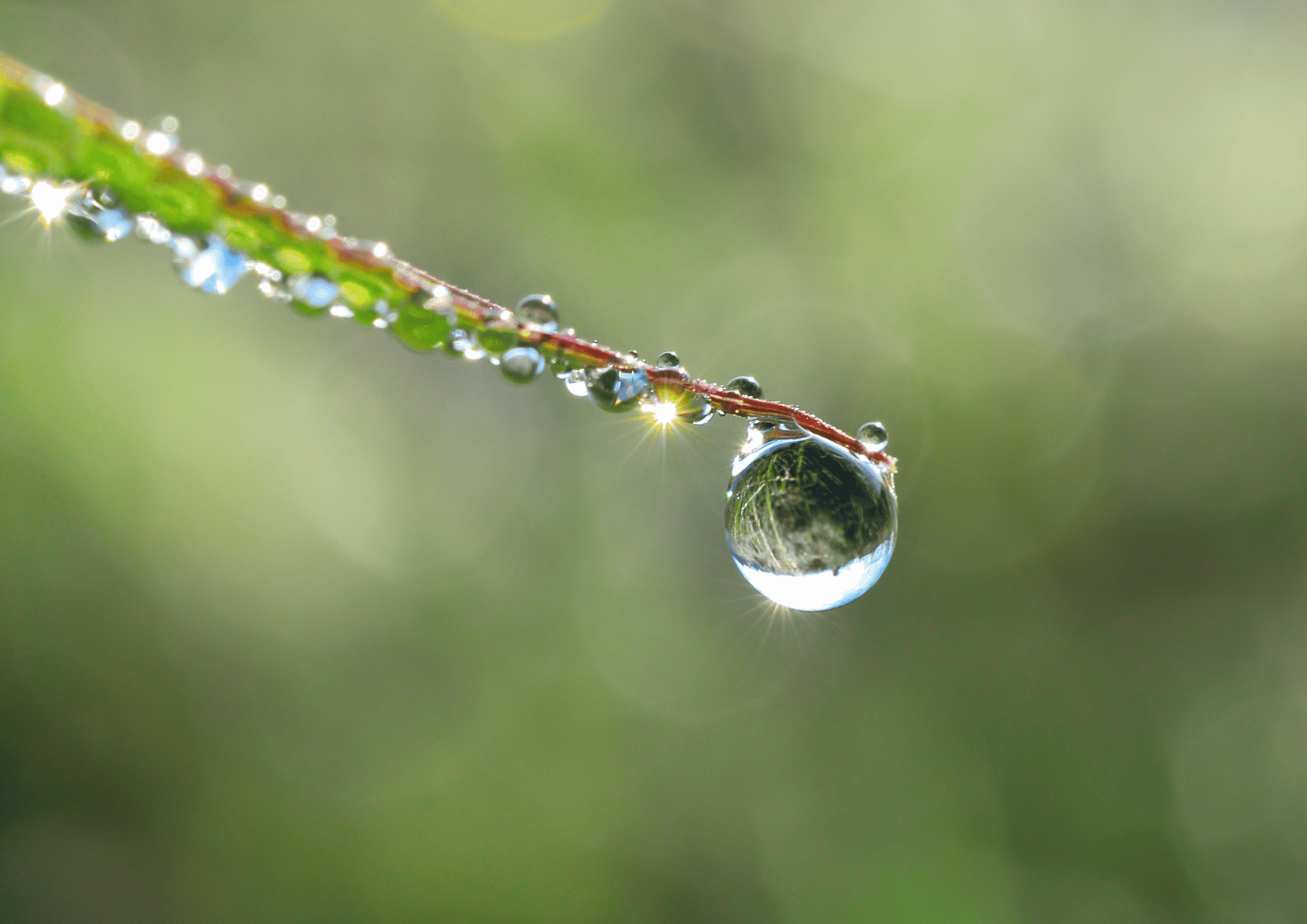 due signifying pristine state, article by amyra mah