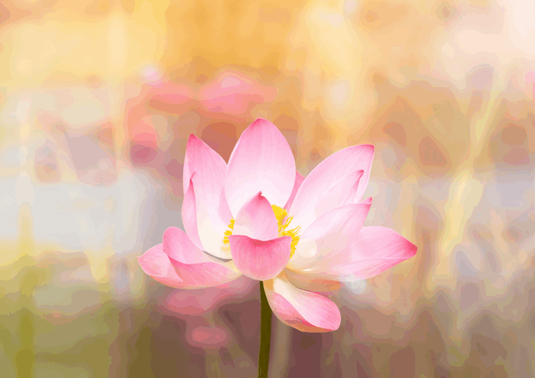 pink lotus flower signifying alignment with higher love amidst Epstein files drop, by amyra mah