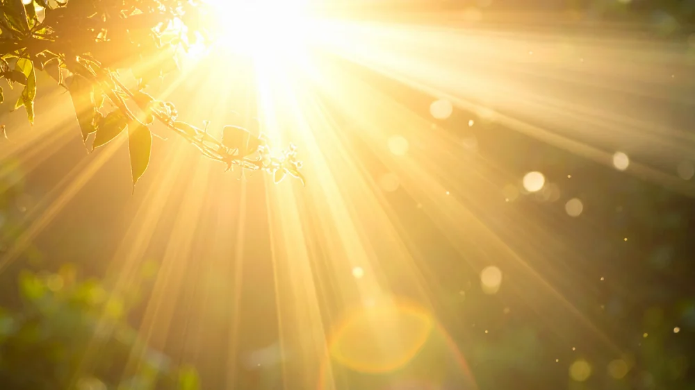 sunlight rays symbolising freedom, flow, abundance blogpost by amyra mah