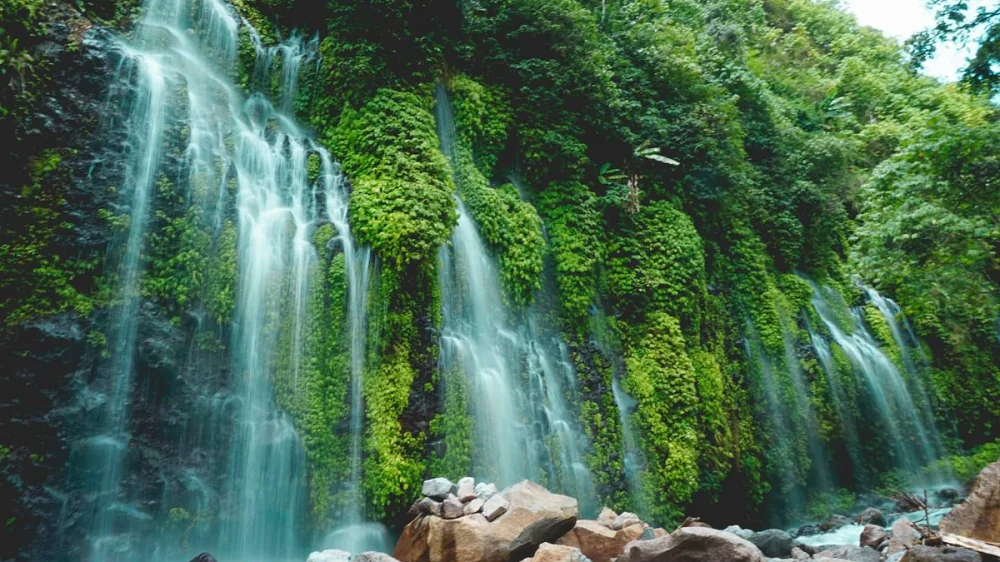 waterfalls in lush green, signifying freedom flow abundance by amyra mah