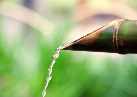 trauma can be healed with gentleness and trust by amyra mah