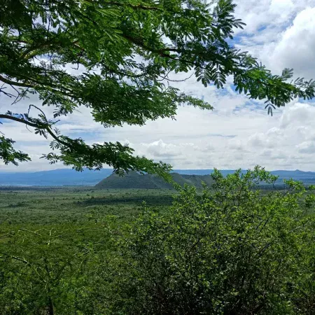 Acacia-Pinnacle-jpg