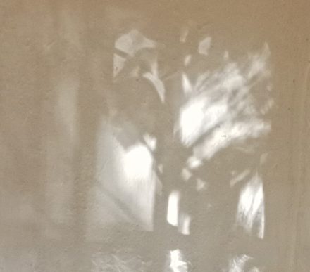 shadow photography by amyra mah - eye peering through window, for article about baby reindeer netflix series about richard gadd and fiona harvey stalker