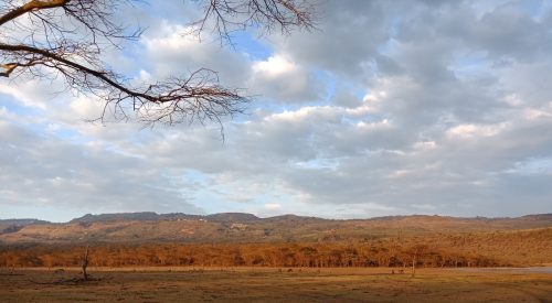 gorgeous golden landscape in kenya, amyra mah