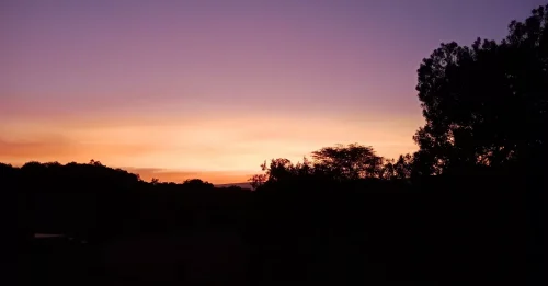 Mara Beauty